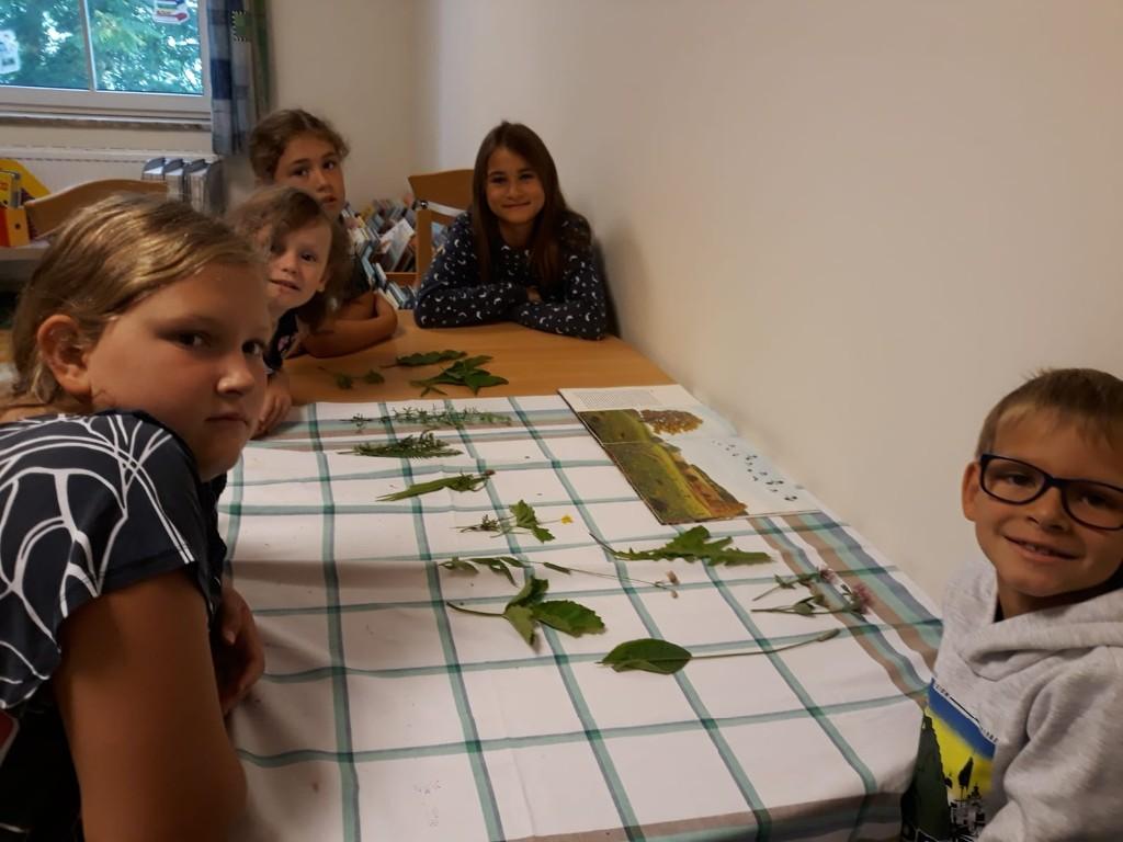 Der Natur auf der Spur, Sommerveranstaltung, Pfarrbücherei Vöcklabruck, Bibliothek Pfarre Vöcklabruck