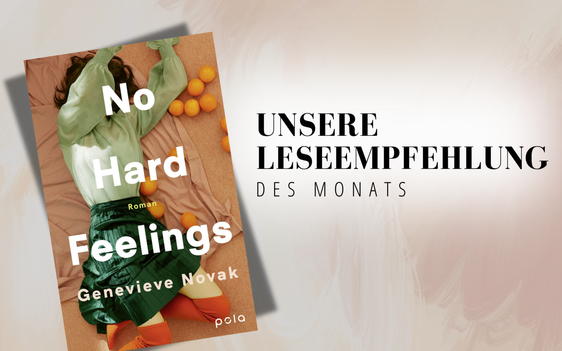 Thumbnail Leseempfehlung Jänner der Pfarrbücherei Vöcklabruck, No Hard Feelings, 